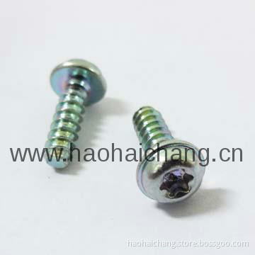 Torx Screws (ISO 9001:2008 & ISO/TS16949)